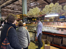 photo_5300944058471615829